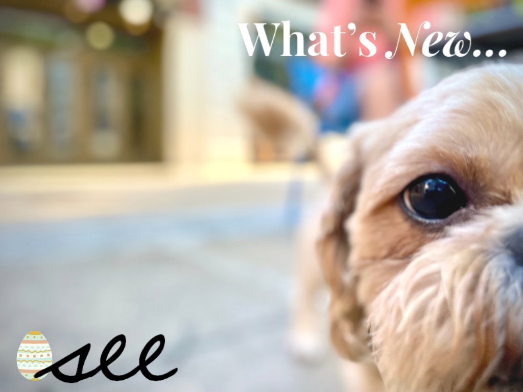 America S Most Exciting Emerging Arts District Grand Center Arts District